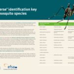 خرید و دانلود نسخه کامل کتاب ‘Reverse’ identification key for mosquito species