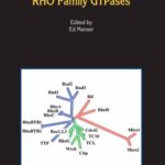 خرید و دانلود نسخه کامل کتاب Rho Family GTPases (Proteins and Cell Regulation)