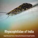 خرید و دانلود نسخه کامل کتاب Rhyacophilidae of India