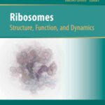 خرید و دانلود نسخه کامل کتاب Ribosomes: Structure, Function, and Dynamics