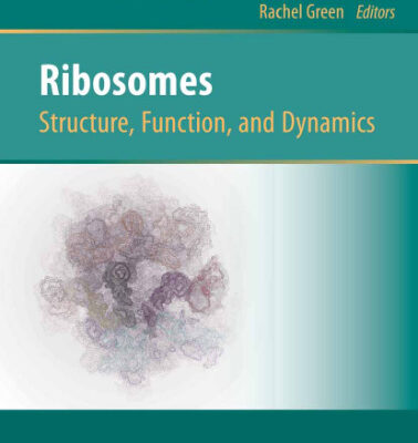 خرید و دانلود نسخه کامل کتاب Ribosomes: Structure, Function, and Dynamics