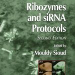 خرید و دانلود نسخه کامل کتاب Ribozymes and siRNA protocols