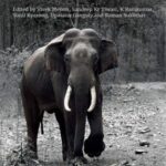 خرید و دانلود نسخه کامل کتاب Right of Passage: Elephant Corridors of India