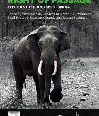 خرید و دانلود نسخه کامل کتاب Right of Passage: Elephant Corridors of India