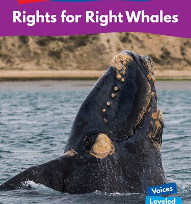خرید و دانلود نسخه کامل کتاب Rights for Right Whales