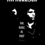 خرید و دانلود نسخه کامل کتاب Rimbaud and Jim Morrison, the Rebel as Poet