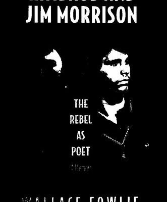 خرید و دانلود نسخه کامل کتاب Rimbaud and Jim Morrison, the Rebel as Poet