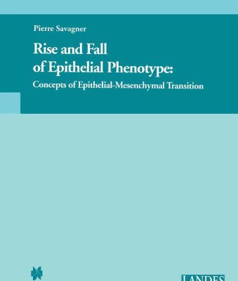 خرید و دانلود نسخه کامل کتاب Rise and Fall of Epithelial Phenotype: Concepts of Epithelial-Mesenchymal Transition (Molecular Biology Intelligence Unit)