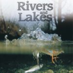 خرید و دانلود نسخه کامل کتاب Rivers and Lakes (Eye Wonder)