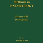 خرید و دانلود نسخه کامل کتاب RNA Modification
