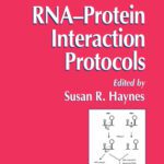 خرید و دانلود نسخه کامل کتاب RNA-Protein Interaction Protocols