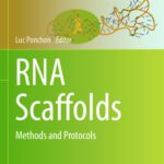 خرید و دانلود نسخه کامل کتاب RNA Scaffolds: Methods and Protocols