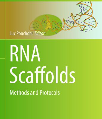 خرید و دانلود نسخه کامل کتاب RNA Scaffolds: Methods and Protocols