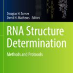 خرید و دانلود نسخه کامل کتاب RNA Structure Determination: Methods and Protocols