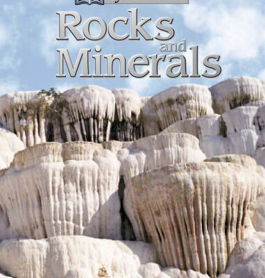 خرید و دانلود نسخه کامل کتاب Rocks and Minerals (Eye Wonder)