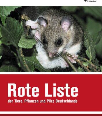 خرید و دانلود نسخه کامل کتاب Rote Liste und gesamtartenliste der säugetiere (Mammalia) Deutschlands