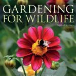 خرید و دانلود نسخه کامل کتاب RSPB Gardening for Wildlife: New edition