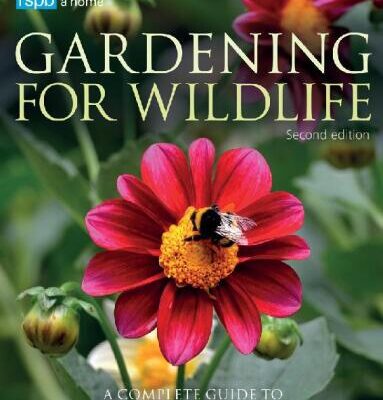 خرید و دانلود نسخه کامل کتاب RSPB Gardening for Wildlife: New edition