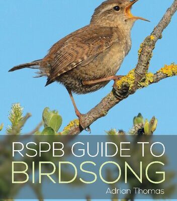 خرید و دانلود نسخه کامل کتاب RSPB Guide to Birdsong