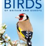 خرید و دانلود نسخه کامل کتاب RSPB Pocket Birds of Britain and Europe
