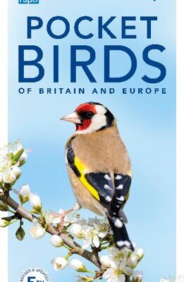 خرید و دانلود نسخه کامل کتاب RSPB Pocket Birds of Britain and Europe