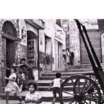خرید و دانلود نسخه کامل کتاب Rue Darwin