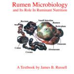 خرید و دانلود نسخه کامل کتاب Rumen microbiology and its role in ruminant nutrition