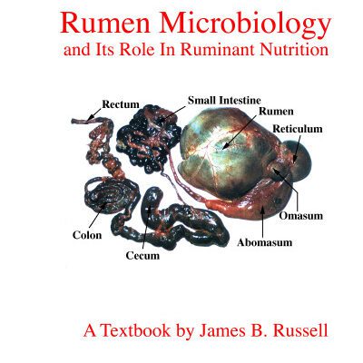 خرید و دانلود نسخه کامل کتاب Rumen microbiology and its role in ruminant nutrition