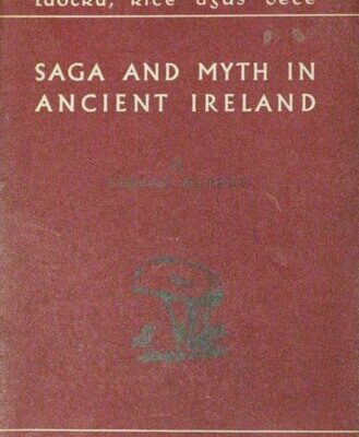 خرید و دانلود نسخه کامل کتاب Saga and Myth in Ancient Ireland