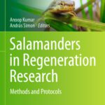 خرید و دانلود نسخه کامل کتاب Salamanders in Regeneration Research: Methods and Protocols