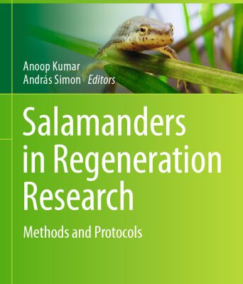 خرید و دانلود نسخه کامل کتاب Salamanders in Regeneration Research: Methods and Protocols