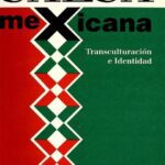 خرید و دانلود نسخه کامل کتاب Salsa mexicana: Transculturación e identidad
