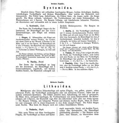 خرید و دانلود نسخه کامل کتاب Schmitterlings-buch