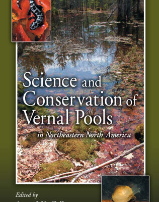 خرید و دانلود نسخه کامل کتاب Science and Conservation of Vernal Pools in Northeastern North America: Ecology and Conservation of Seasonal Wetlands in Northeastern North America