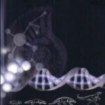 خرید و دانلود نسخه کامل کتاب Science, Evolution and Schooling in South Africa (Africa Human Genome Intiative Series)