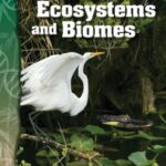 خرید و دانلود نسخه کامل کتاب Science Readers – Life Science: Inside Ecosystems and Biomes (Science Readers: Life Science)