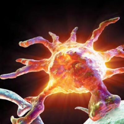 خرید و دانلود نسخه کامل کتاب Scientific american (April 2004)