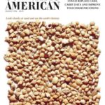 خرید و دانلود نسخه کامل کتاب Scientific American (August 1996)