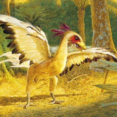 خرید و دانلود نسخه کامل کتاب Scientific american (February 1998)