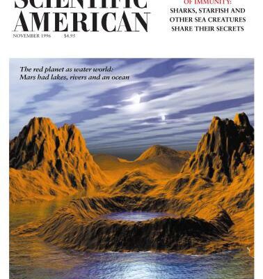 خرید و دانلود نسخه کامل کتاب Scientific American (November 1996)