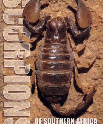 خرید و دانلود نسخه کامل کتاب Scorpions of Southern Africa