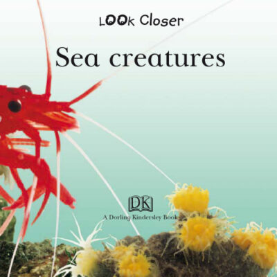 خرید و دانلود نسخه کامل کتاب Sea Creatures (Look Closer)