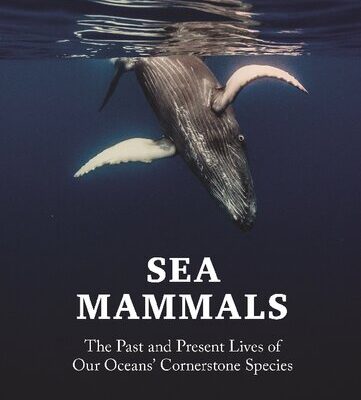 خرید و دانلود نسخه کامل کتاب Sea mammals. The past and present lives of our oceans’ cornerstone species