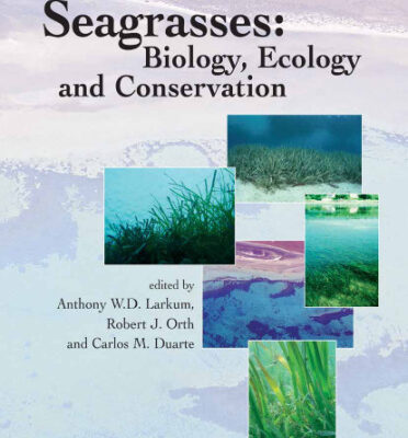 خرید و دانلود نسخه کامل کتاب Seagrasses: Biology, Ecology and Conservation
