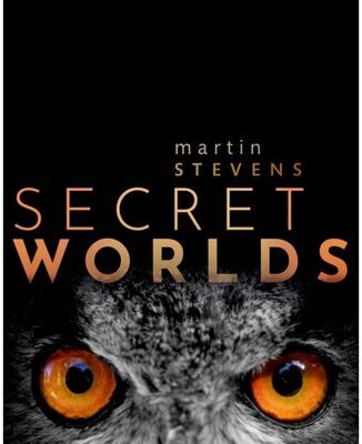 خرید و دانلود نسخه کامل کتاب Secret Worlds: The extraordinary senses of animals