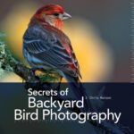 خرید و دانلود نسخه کامل کتاب Secrets of Backyard Bird Photography