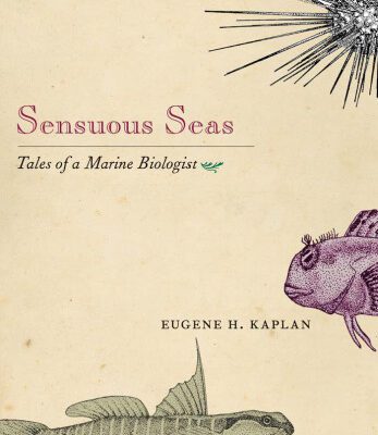 خرید و دانلود نسخه کامل کتاب Sensuous Seas: Tales of a Marine Biologist