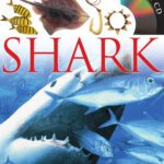 خرید و دانلود نسخه کامل کتاب Shark