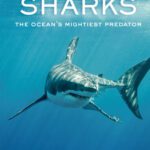 خرید و دانلود نسخه کامل کتاب Sharks: The Ocean’s Mightiest Predator