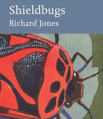 خرید و دانلود نسخه کامل کتاب Shieldbugs